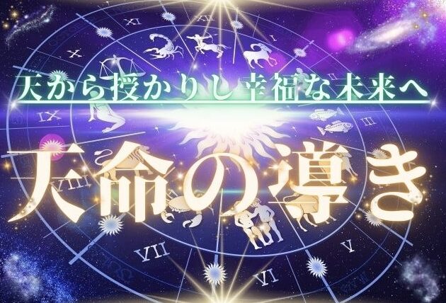 天命の導きの運営会社情報